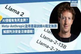 AI侵权有免死金牌？Meta盗用书籍训练AI裁定无罪