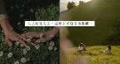 后悔离婚？天真地以为能重拾旧情，一切却只是覆水难收