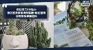 保住份工风水8大贴士：营造事业运强劲办公环境