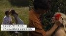 婚外情的思辨：恋爱脑的人，往往是最理想的行骗对象