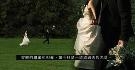 走到尽头的婚姻无法挽回？由相爱到结束，剩下只有无奈