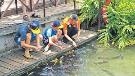 花莲自然文化深度游 下水捞蚬 走入原住民部落