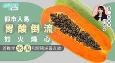 都市人胃酸倒流火烧心，首推吃木瓜，和胃降逆最有效