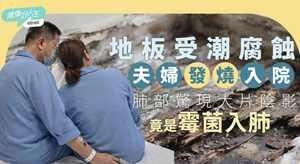 地板受潮腐蚀竟致肺部感染!医生揭最致命霉菌