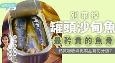 别弃掉最矜贵的....鱼骨！钙质吸收与乳制品有何分别？