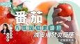西红柿︱护肝功效、减皮肤发炎反应及助抗氧长寿